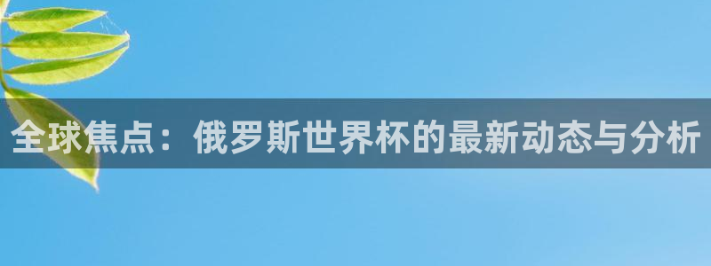 2026世界杯中国队：全球焦点：俄罗斯世界杯的最新动态与分析