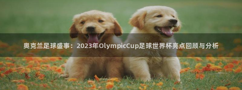 世界杯直播时间：奥克兰足球盛事：2023年OlympicCup足球世界杯亮点回顾与分析