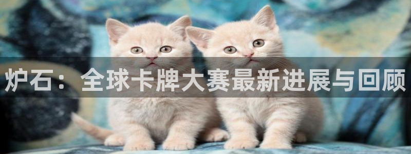 女足世界杯赛程：炉石：全球卡牌大赛最新进展与回顾