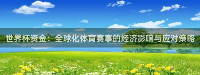 世界杯预选赛：世界杯资金：全球化体育赛事的经济影响与应对策略