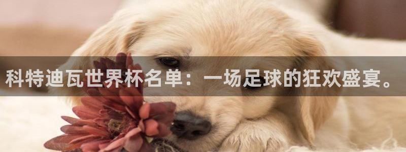 足球世界杯时间：科特迪瓦世界杯名单：一场足球的狂欢盛宴。