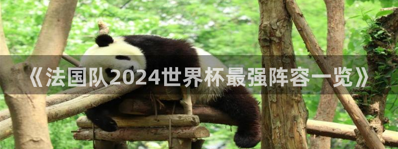 足球世界杯2026：《法国队2024世界杯最强阵容一览》