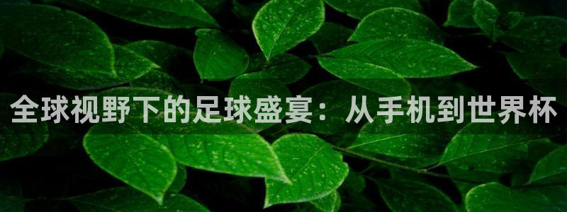 世界杯亚洲区预选赛赛程表：全球视野下的足球盛宴：从手机到世界杯