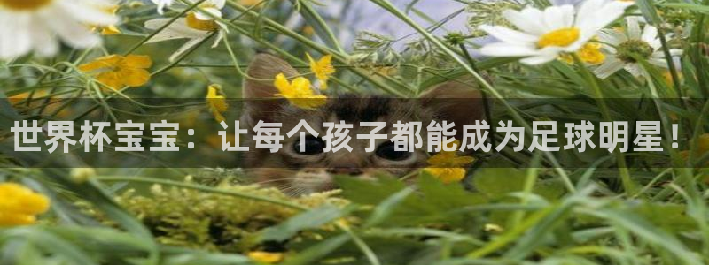 葡萄牙世界杯赛程：世界杯宝宝：让每个孩子都能成为足球明星！